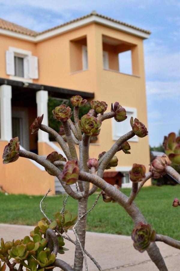 Boutique Hotel Ileas Village Arkoudi Exteriér fotografie