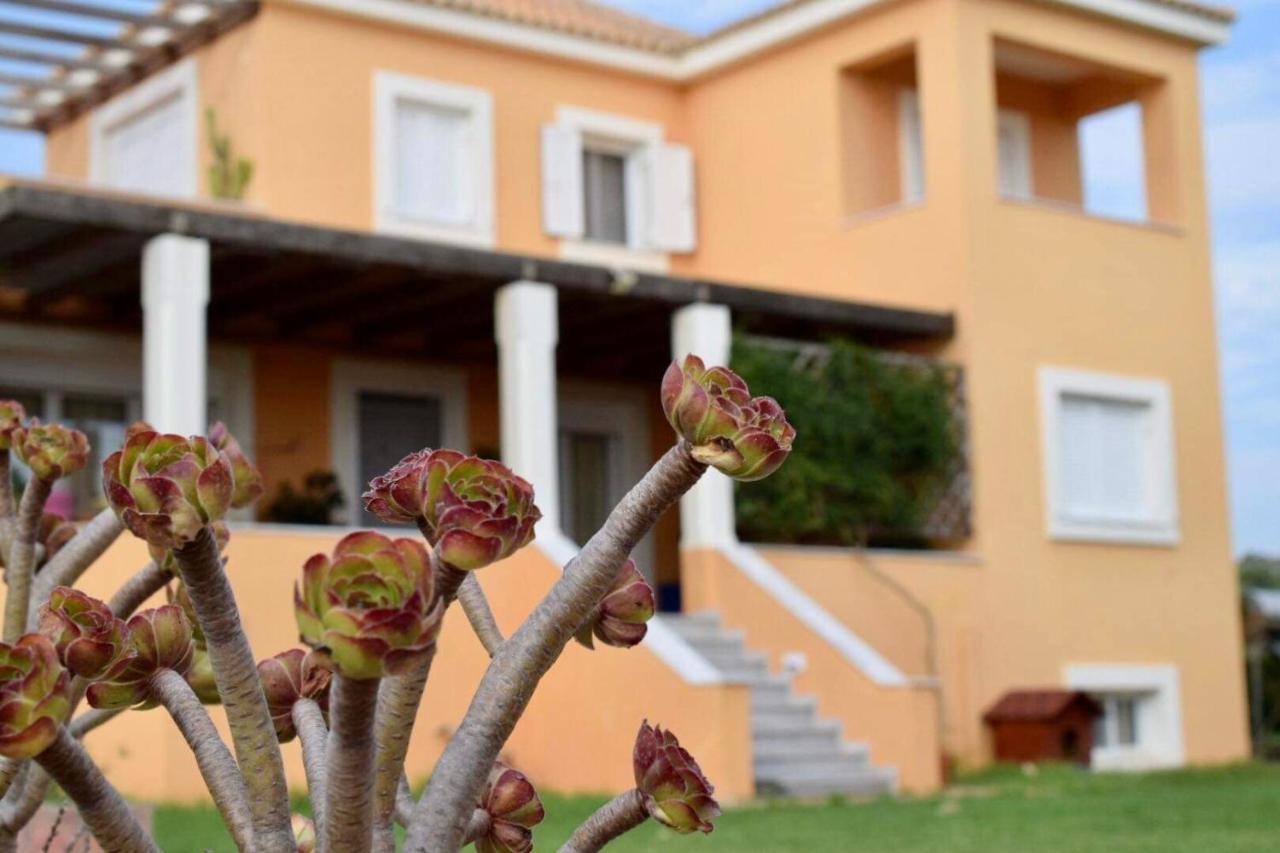 Boutique Hotel Ileas Village Arkoudi Exteriér fotografie